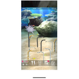 E88017545e3a95dd8046d177c6ebaea4