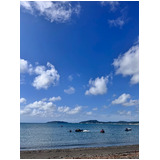 E8b9717a69bf0a72ef7d31772097730e