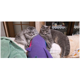 Ee2f16c3365592120f98473879f78f18