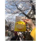 F8f3f0d09cd6c95949cc7ac56a749667