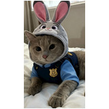 Ffbe3dd9e6a49c985cd82e09378c1fb7