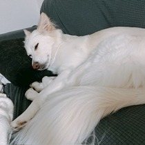 京 さゆみ