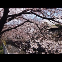 ☆りおな☆