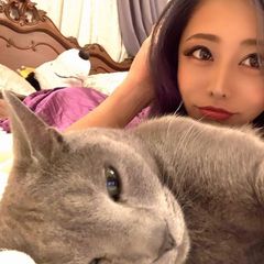 添付画像