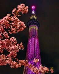 添付画像