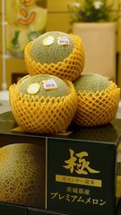 添付画像