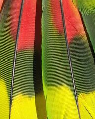 添付画像