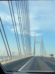 添付画像