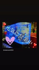添付画像