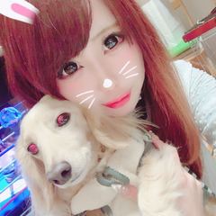 添付画像