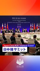 添付画像