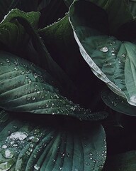 添付画像