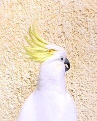 添付画像