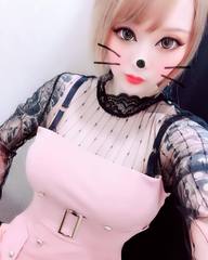 添付画像