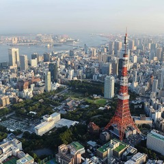 添付画像