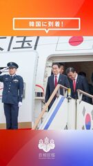 添付画像