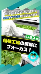 添付画像