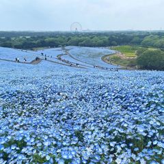 添付画像