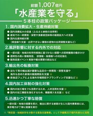 添付画像