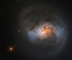 添付画像
