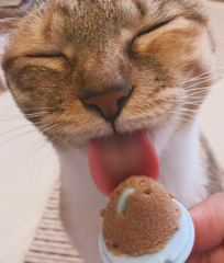 添付画像