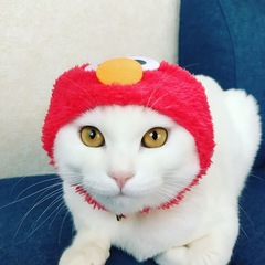 添付画像