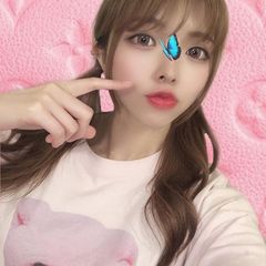 添付画像