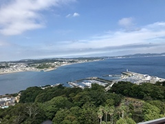 添付画像