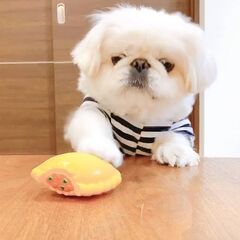添付画像