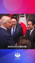添付画像