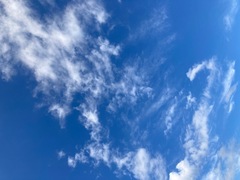 添付画像