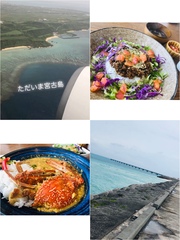 添付画像