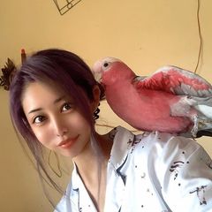 添付画像