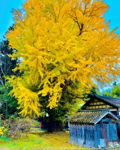 E17BD49D-450A-4736-9FAA-42A1D1091A1A.webp