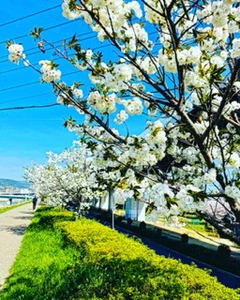 4919AE9D-BCF6-4DFD-A637-CC8C8E0D9A67.webp
