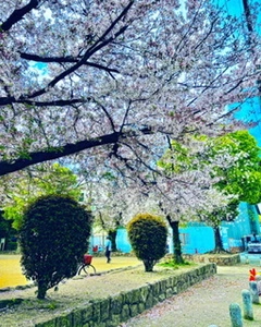 07CB6958-4DF7-4A07-A241-A8C3D3B26BED.webp