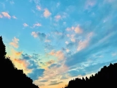 IMG_3401.webp