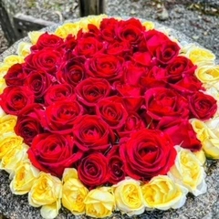 7F31FC4D-4843-4E47-AE1D-13B684B09BF1.webp