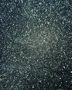 63C7587A-D0D2-4A93-B530-DEFAF982780D.webp