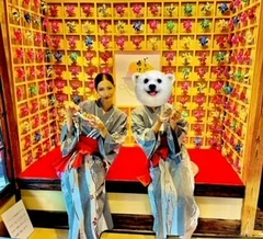 94459A48-F435-4304-9AC1-51B9DE3B09CF.webp