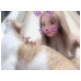 14c787561c7c6fec56b4dbe4a1fc3490