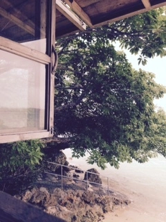 image1.jpeg