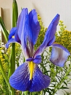 IMG_4858.webp